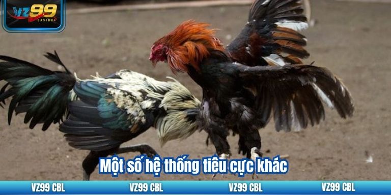 Đá Gà Malaysia VZ99 Hướng Dẫn Cá Cược Một số hệ thống tiêu cực khác